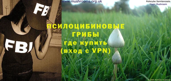 гашиш Абаза