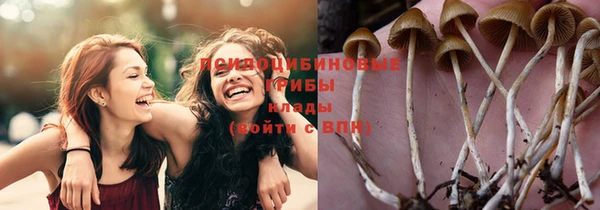стаф Абинск