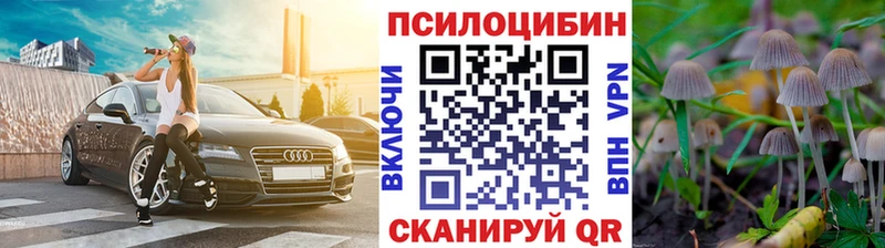 Галлюциногенные грибы MAGIC MUSHROOMS  ОМГ ОМГ ссылки  Суоярви  как найти закладки 